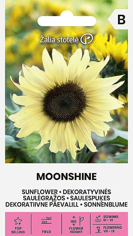 Saulėgrąžos Dekoratyvinės Moonshine Žalia stotelė kaina ir informacija | Gėlių sėklos | pigu.lt
