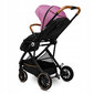 Universalus vežimėlis Lionelo Riya 2in1, Pink violet kaina ir informacija | Vežimėliai | pigu.lt