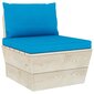 Keturvietė sodo sofa iš palečių su pagalvėlėmis kaina ir informacija | Lauko kėdės, foteliai, pufai | pigu.lt