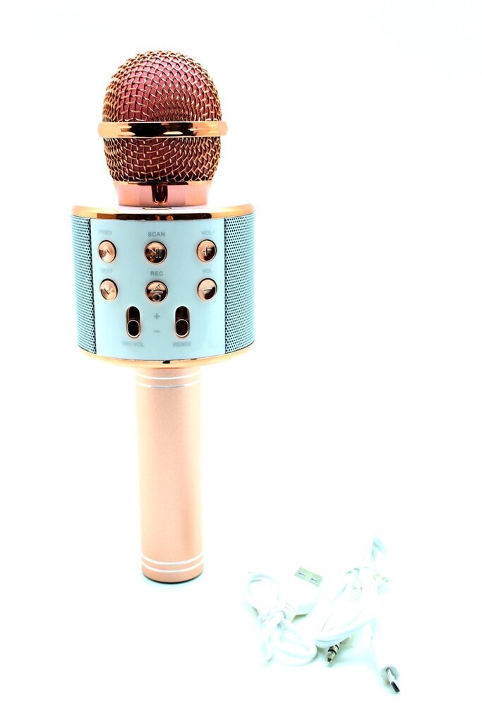 Mikrofonas karaoke WS-858 kaina ir informacija | Mikrofonai | pigu.lt