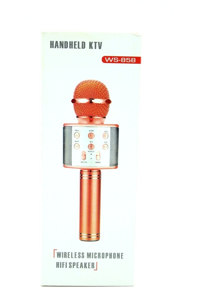 Mikrofonas karaoke WS-858 kaina ir informacija | Mikrofonai | pigu.lt