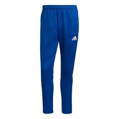 Спортивные штаны мужские Adidas Tiro 21 Training M GJ9870, синие цена и информация | Мужская спортивная одежда | pigu.lt
