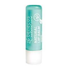 Lūpų balzamas su mėtomis Benecos Natural Lip Balm, 4,8g kaina ir informacija | Benecos Kvepalai, kosmetika | pigu.lt