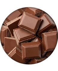 Lūpų balzamas LR wonder company „ Šokoladas", 4.5 g kaina ir informacija | Lūpų dažai, blizgiai, balzamai, vazelinai | pigu.lt