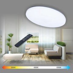 Apvalus lubinis LED šviestuvas kaina ir informacija | Lubiniai šviestuvai | pigu.lt