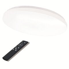 Apvalus lubinis LED šviestuvas kaina ir informacija | Lubiniai šviestuvai | pigu.lt