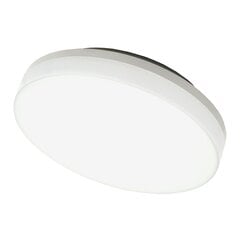Потолочный, настенный светодиодный светильник 15 Вт белый цена и информация | Настенные светильники | pigu.lt
