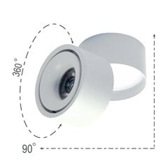 Точечный поверхностный светодиодный светильник 10 Вт белый цена и информация | Настенные светильники | pigu.lt