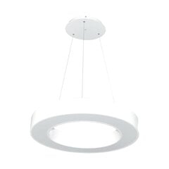 Светодиодный светильник в форме кольца для поверхностного монтажа / монтажа на кабель 36 Вт Белый цена и информация | Люстры | pigu.lt