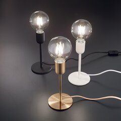 Настольная лампа с микрофоном Tl1 Nero 232485 цена и информация | Настольные светильники | pigu.lt