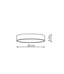 Light Prestige потолочный LED светильник Rapido S цена и информация | Потолочные светильники | pigu.lt