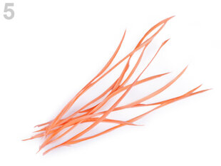 Гусиное перо, обрезанное, лососевый цвет, 15-23 см, 10 шт. цена и информация | Аппликации, декорации, наклейки | pigu.lt