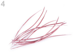 Plunksnos žąsies  karpytos vintažinės rožinės 15-23cm 10vnt kaina ir informacija | Aplikacijos, papuošimai, lipdukai | pigu.lt