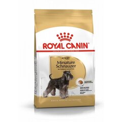 Royal Canin Miniature Schnauzer Adult для взрослых собак породы мини шнауцер, 7,5 кг цена и информация | Сухой корм для собак | pigu.lt