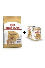 Royal Canin Pomeranian Adult 3 kg + Pomeranian Adult suaugusių miniatiūrinių špicų veislės šunims, 12x85g kaina ir informacija | Sausas maistas šunims | pigu.lt