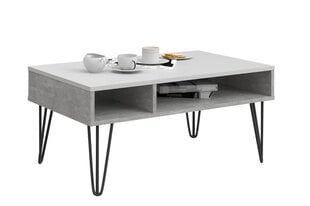 Журнальный столик Locco loft beton, серый /белый цена и информация | Журнальные столики | pigu.lt