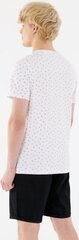 Мужская футболка Outhorn T-shirt HOL21TSM638, белая цена и информация | Мужские футболки | pigu.lt