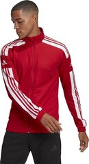 Vyriškas megztukas adidas Squadra 21 raudonas GP6464 kaina ir informacija | Futbolo apranga ir kitos prekės | pigu.lt