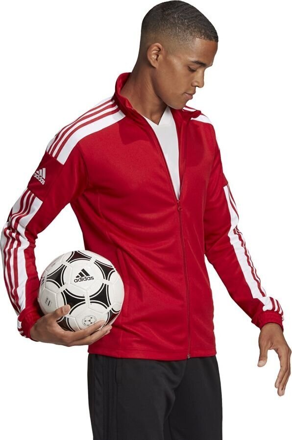 Vyriškas megztukas adidas Squadra 21 raudonas GP6464 kaina ir informacija | Futbolo apranga ir kitos prekės | pigu.lt