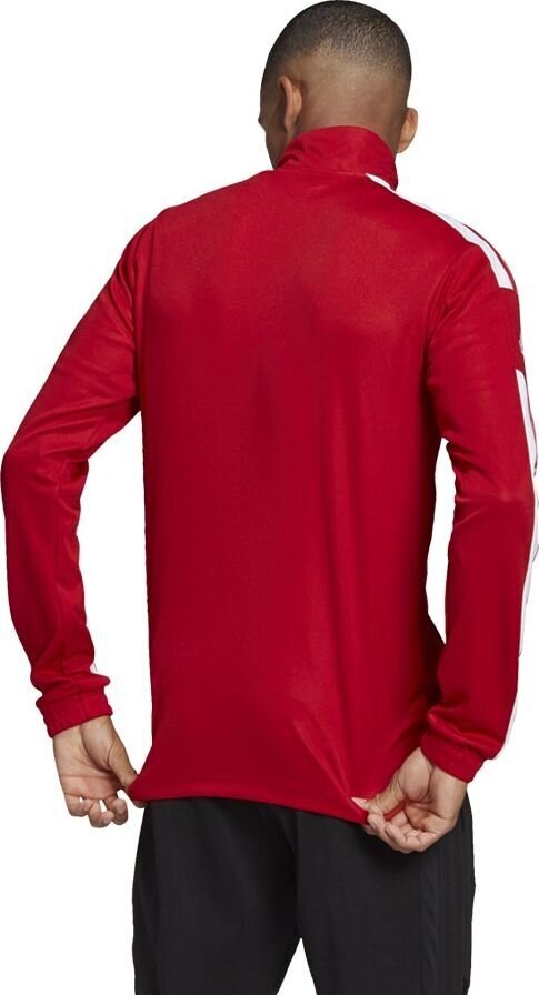 Vyriškas megztukas adidas Squadra 21 raudonas GP6464 kaina ir informacija | Futbolo apranga ir kitos prekės | pigu.lt