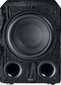 Žemųjų dažnių garsiakalbis Magnat Alpha RS 12 juodas kaina ir informacija | Garso kolonėlės | pigu.lt