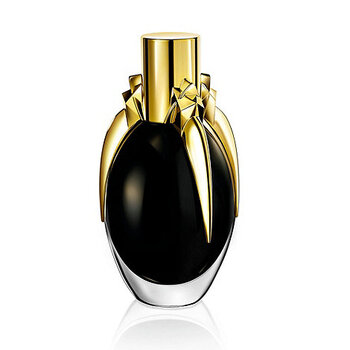 lady gaga fame