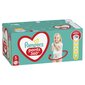 Sauskelnės-kelnaitės PAMPERS Pants Mega Pack S5, 96 vnt. цена и информация | Sauskelnės | pigu.lt