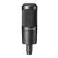 Studijinis mikrofonas Audio-technica AT2035 kaina ir informacija | Mikrofonai | pigu.lt