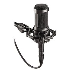 Студийный микрофон Audio-technica AT2035 цена и информация | Микрофоны | pigu.lt