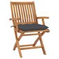 Sodo kėdės su antracito pagalvėlėmis, 2 vnt, pilkos kaina ir informacija | Lauko kėdės, foteliai, pufai | pigu.lt