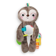 Мягкая игрушка Ленивец Bright Starts, 12501-6-MEWW-YW2 цена и информация | Игрушки для малышей | pigu.lt