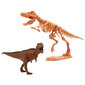 Dinozauro skeleto rinkinys Megasaur Mighty 2 in 1, 16944C kaina ir informacija | Žaislai berniukams | pigu.lt