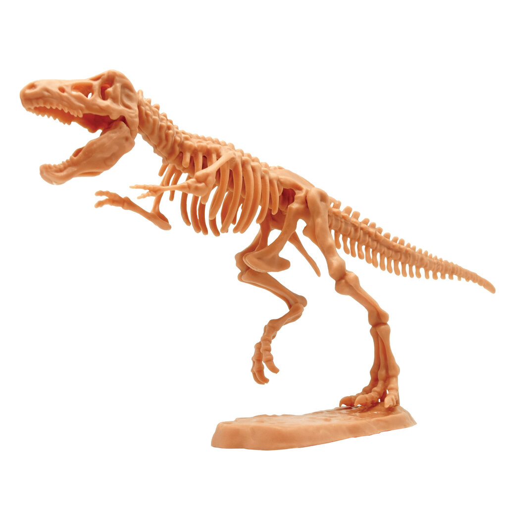 Dinozauro skeleto rinkinys Megasaur Mighty 2 in 1, 16944C kaina ir informacija | Žaislai berniukams | pigu.lt