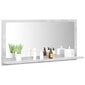 Vonios veidrodis, 80x10,5x37 cm, pilkas kaina ir informacija | Vonios veidrodžiai | pigu.lt