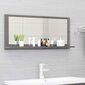 Vonios veidrodis, 90x10,5x37 cm, pilkas blizgus kaina ir informacija | Vonios veidrodžiai | pigu.lt