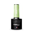 Стойкий гибридный лак для ногтей Claresa Mint 1, 5 г