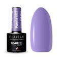 Стойкий гибридный лак для ногтей Claresa Purple 603, 5 г