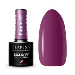 Стойкий гибридный лак для ногтей Claresa Purple 615, 5 г цена и информация | Лаки, укрепители для ногтей | pigu.lt