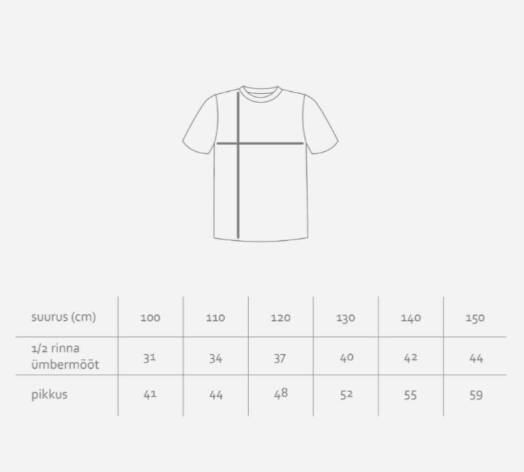 Marškinėliai vaikams Marat SPP24019*01, pilki kaina ir informacija | Marškinėliai berniukams | pigu.lt