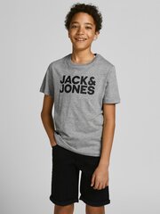 Jack&Jones marškinėliai berniukams 12152730*01, pilkos spalvos kaina ir informacija | Marškinėliai berniukams | pigu.lt