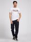 Marškinėliai vyrams Guess Jeans, balti цена и информация | Vyriški marškinėliai | pigu.lt