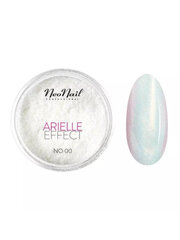 Nagų dekoravimo pudra NeoNail Pollen Arielle Effect, 00 Classic, 2 g цена и информация | Средства для маникюра и педикюра | pigu.lt