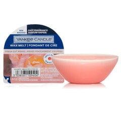 Yankee Candle žvakė Roses 22 g kaina ir informacija | Žvakės, Žvakidės | pigu.lt