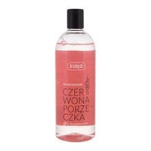 Dušo želė Ziaja Redcurrant, 500 ml kaina ir informacija | Dušo želė, aliejai | pigu.lt