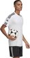 Vyriški marškinėliai Adidas Squadra 21 GN5726, balti kaina ir informacija | Futbolo apranga ir kitos prekės | pigu.lt