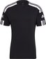Marškinėliai vyrams SQUADRA21JSY GN5720 , juodi kaina ir informacija | Vyriški marškinėliai | pigu.lt