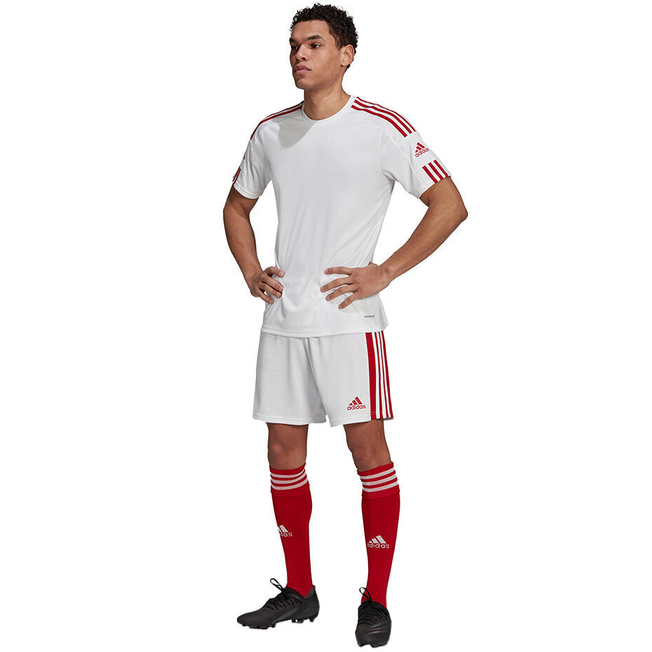Vyriški šortai Adidas Squadra 21 GN5770, balti/raudoni kaina ir informacija | Futbolo apranga ir kitos prekės | pigu.lt