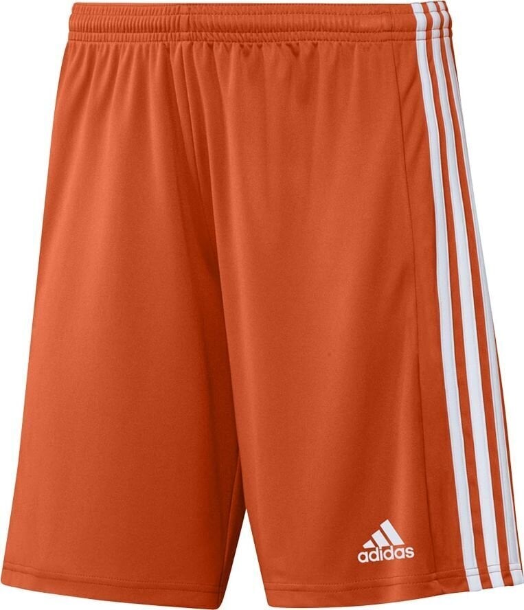 Vyriški šortai adidas Squadra 21 GN8084, oranžiniai, L kaina ir informacija | Futbolo apranga ir kitos prekės | pigu.lt