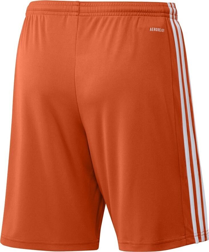 Vyriški šortai adidas Squadra 21 GN8084, oranžiniai, M kaina ir informacija | Futbolo apranga ir kitos prekės | pigu.lt