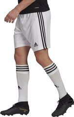Мужские шорты Adidas Squadra 21 GN5773, белый цена и информация | Футбольная форма и другие товары | pigu.lt